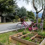 Marmotte By Interhome Apartment