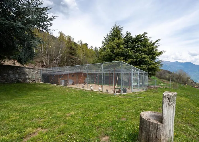 Marmotte By Interhome Lejlighed Sarre